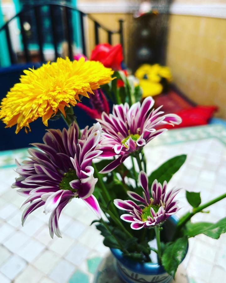 Riad Al Nour 마라케시 외부 사진