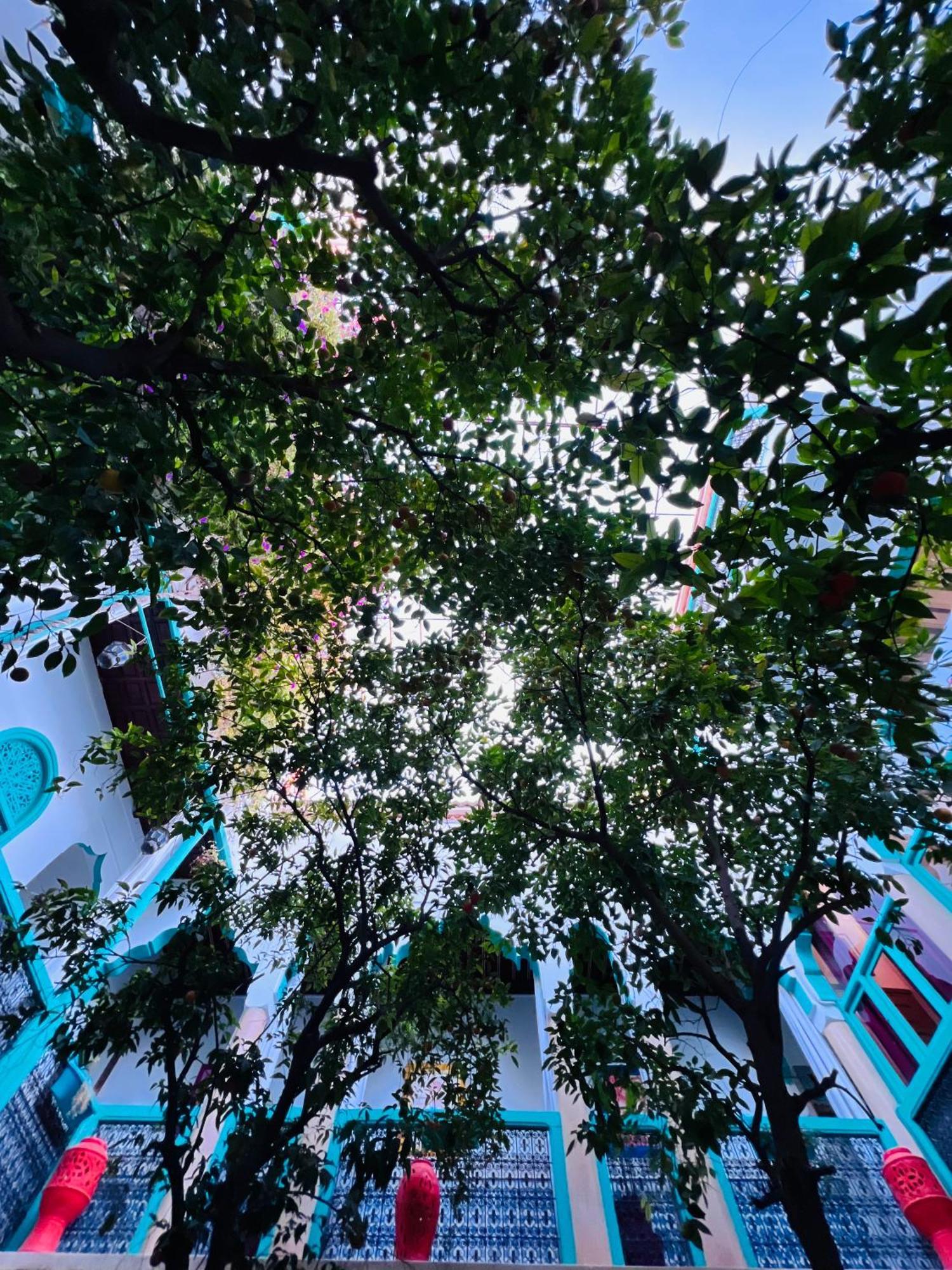 Riad Al Nour 마라케시 외부 사진