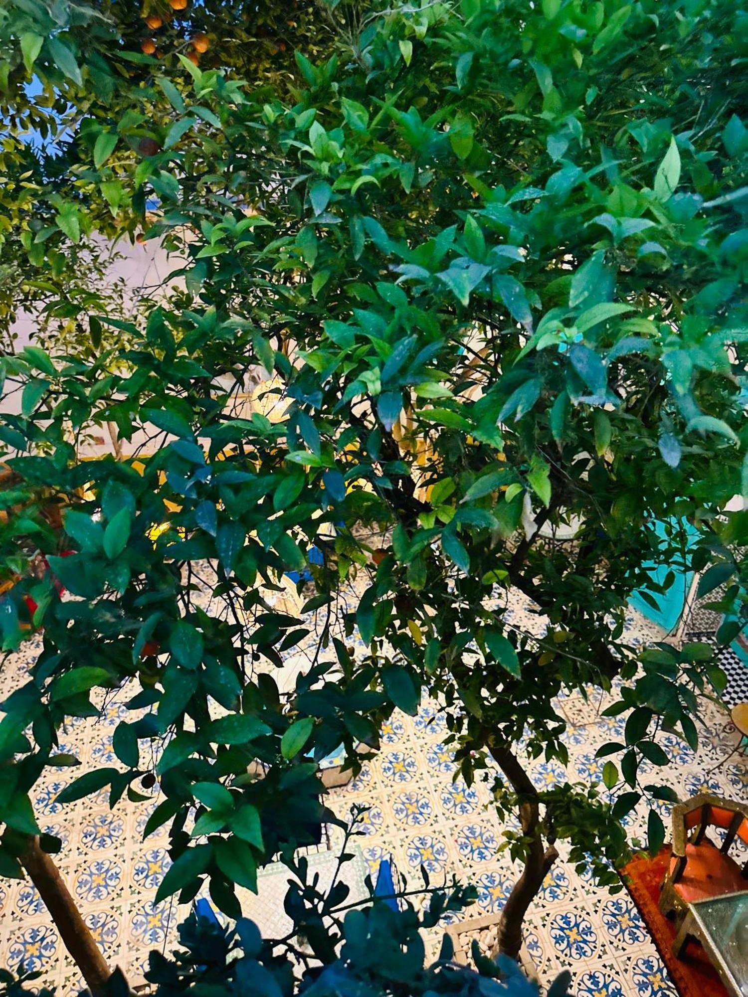 Riad Al Nour 마라케시 외부 사진